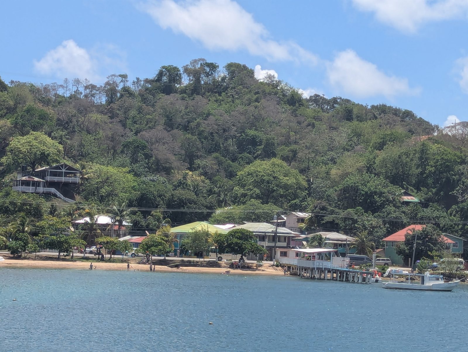 A green hillside rising above a turquoise harbour lined with waterfront homes